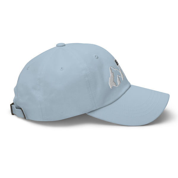 BANFF bb Dad Hat