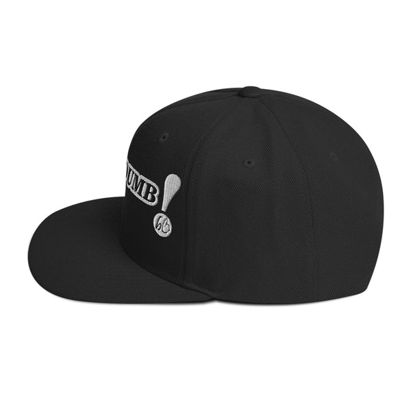 FREE - DUMB ! Snapback Hat