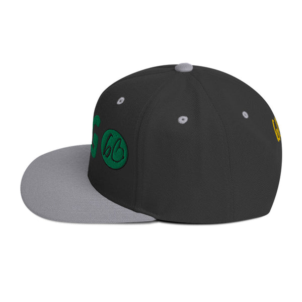 LOGO Snapback Hat