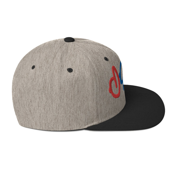 The Hat Guy Snapback Hat