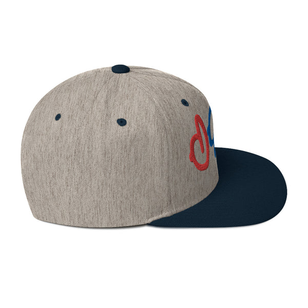 The Hat Guy Snapback Hat