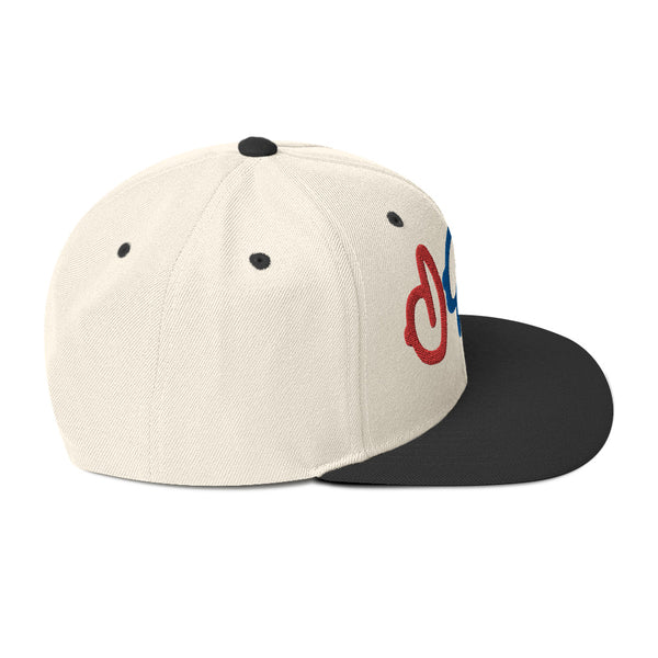 The Hat Guy Snapback Hat