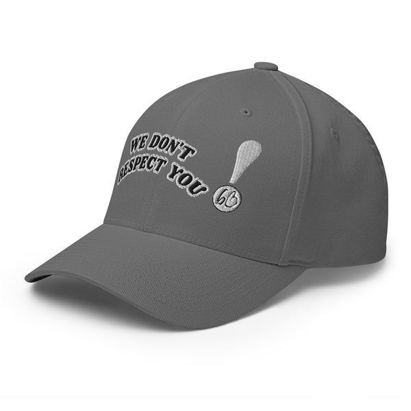 WE DON'T RESPECT YOU! Structured Twill Hat