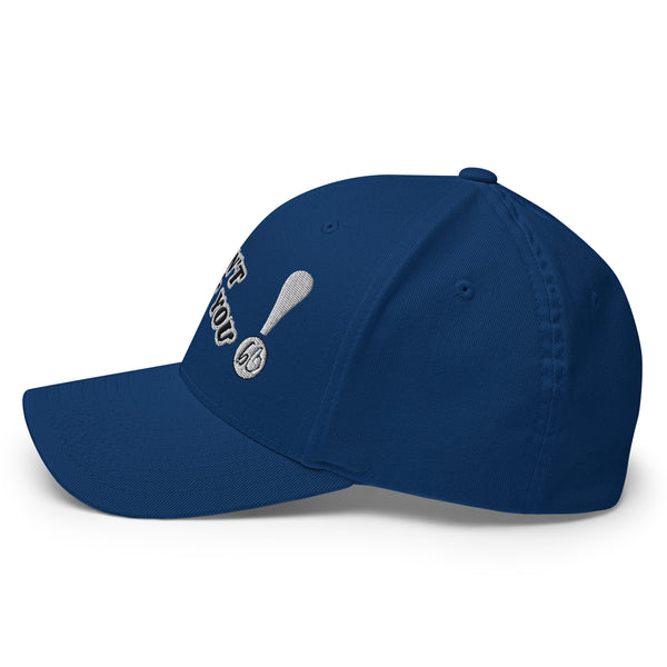 WE DON'T RESPECT YOU! Structured Twill Hat
