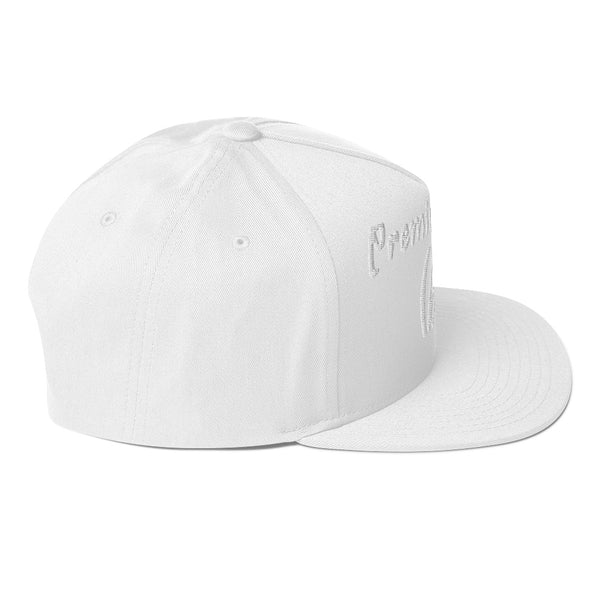 bb Premium Goods Flat Bill Hat