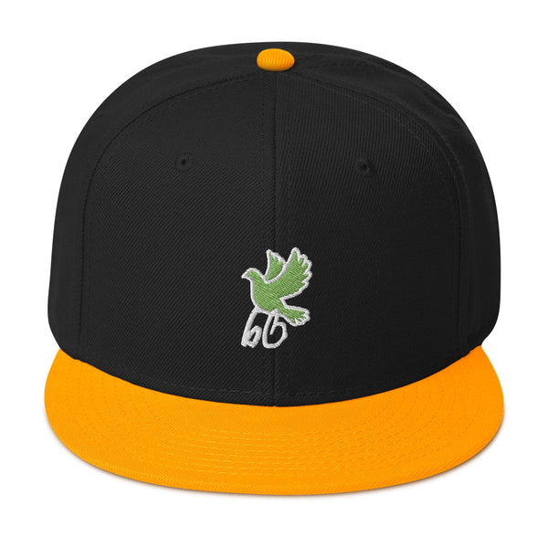 Bird's Eye View Snapback Hat