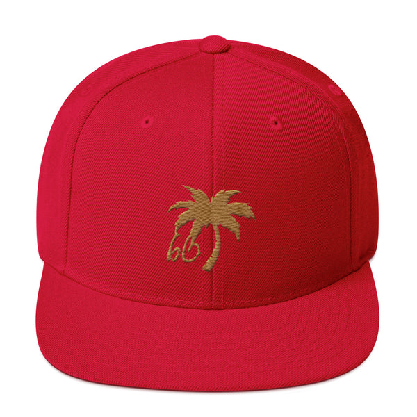 bb In The Shade Snapback Hat