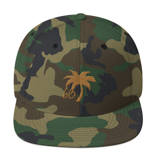 bb In The Shade Snapback Hat