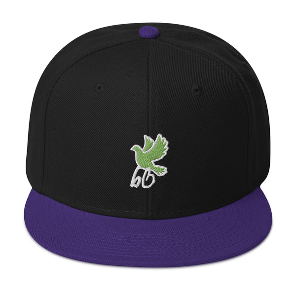 Bird's Eye View Snapback Hat