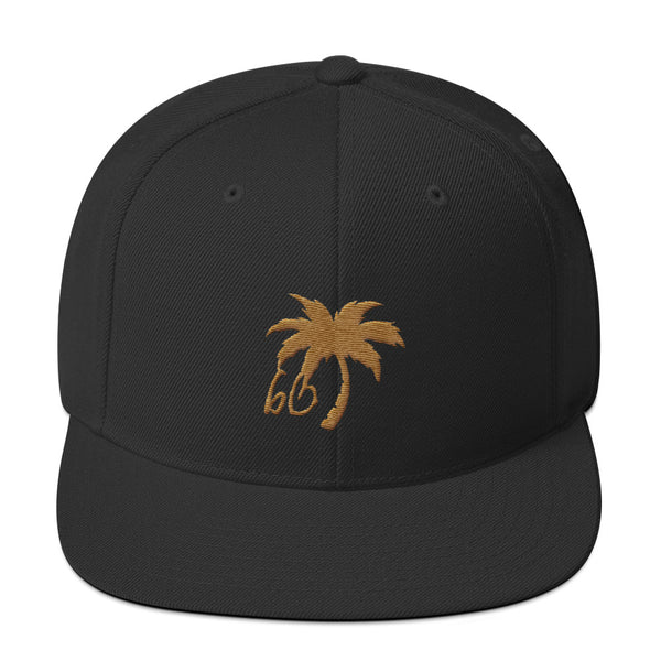 bb In The Shade Snapback Hat