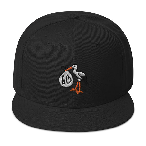 Pelican bb Snapback Hat